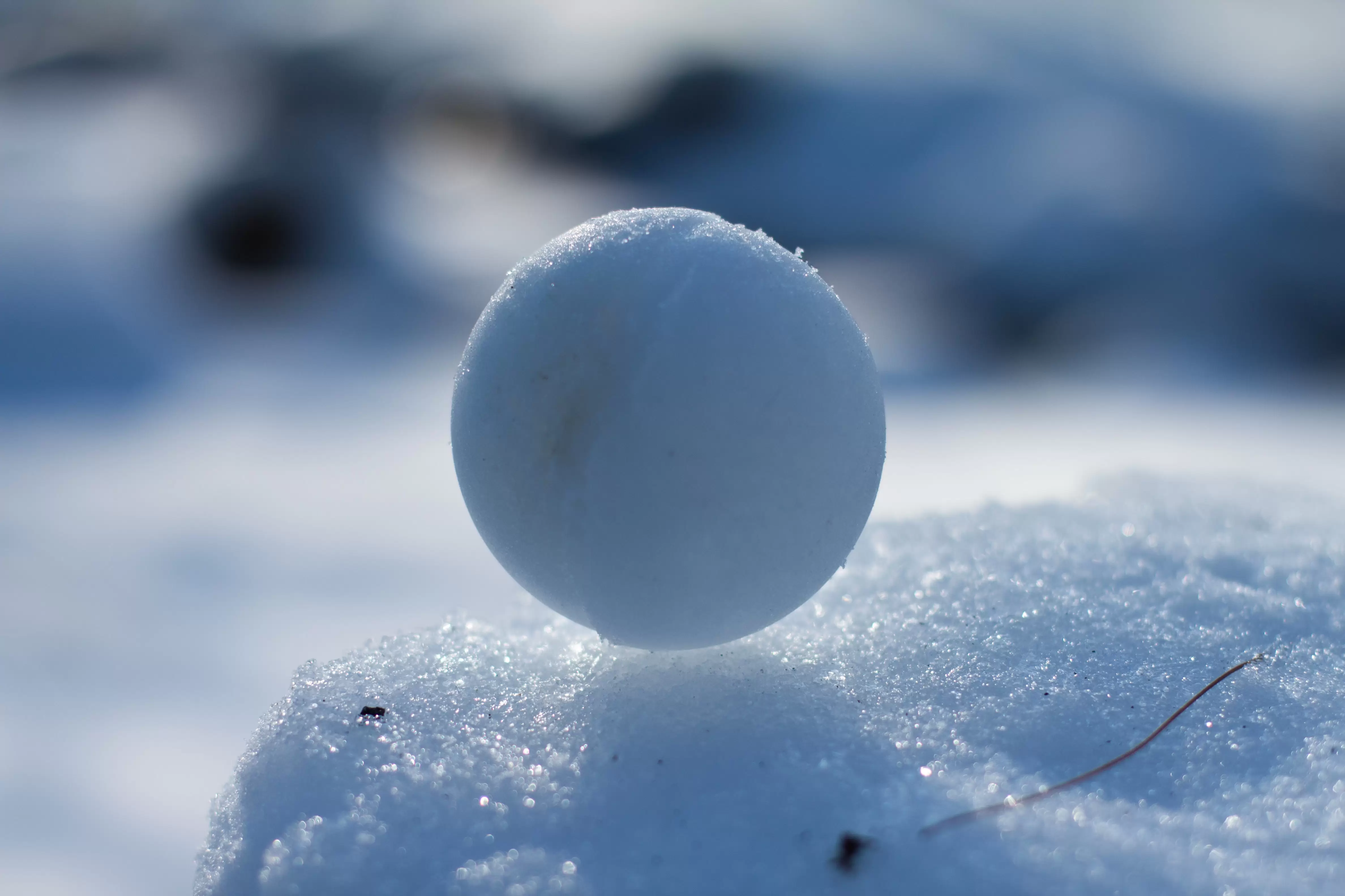 وما زالت كرة الثلج تدور! – أنفال الفضلي